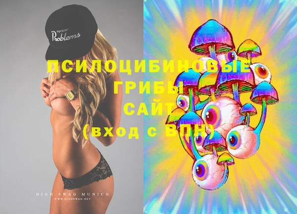 меф Новодвинск